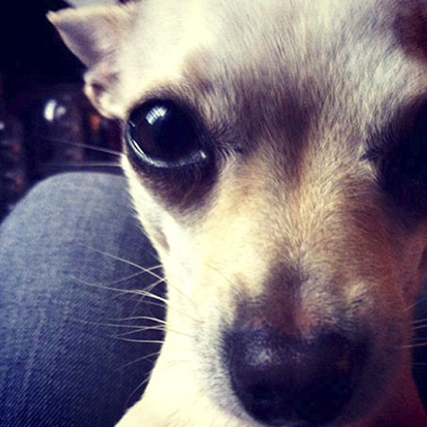 WECOLAB LABORATORIO DE COGNICION DIGITAL equipo08